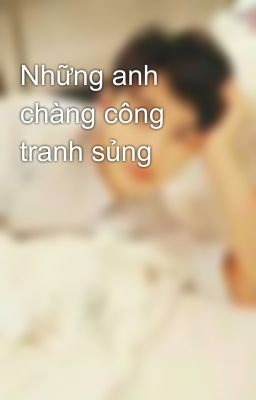 Những anh chàng công tranh sủng