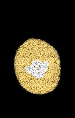 Những đứa trẻ 'Tự Do'