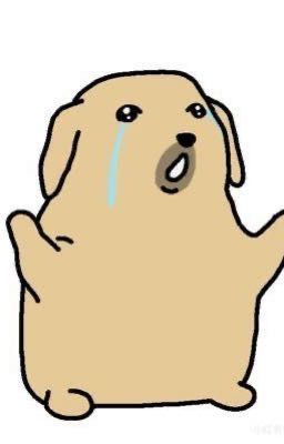 Những mẩu chuyện nhỏ