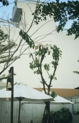 Những mẩu truyện ngắn