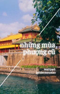 Những mùa phượng cũ (tạm thời)