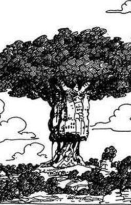 [Nico Robin] Những thứ trăm năm