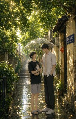 Niệm Tình