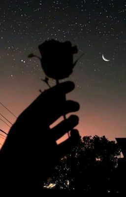Night Girl