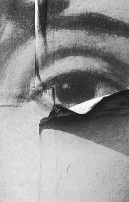 ningselle - giọt lệ không màu.