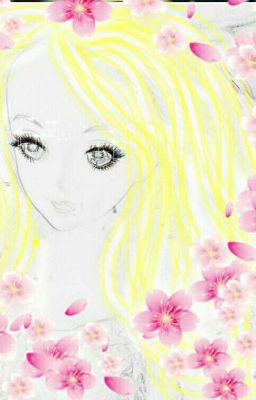 No Love No Life