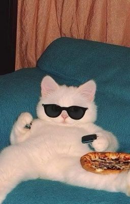 | Nồi lẩu thập cẩm | - Huấn văn - Đoản 