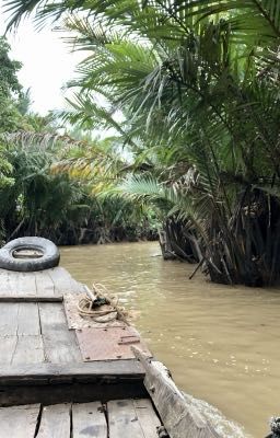 Nơi ta gặp nhau