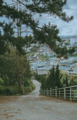 Nơi Tình Yêu Bắt Đầu [Lyquinn]