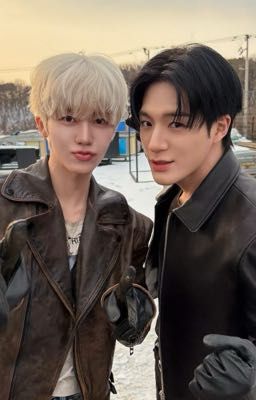 nomin | miss