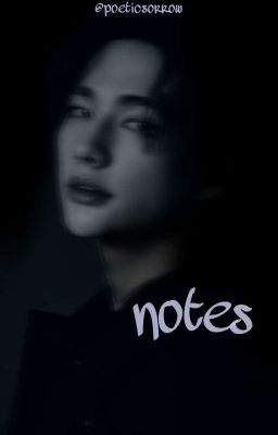 notes || skz