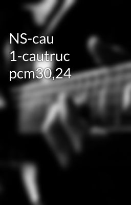 NS-cau 1-cautruc pcm30,24