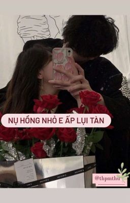 Nụ hồng nhỏ e ấp lụi tàn