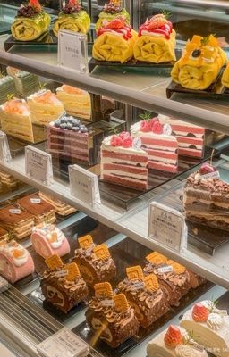 NusLei | Hai chúng ta và một đống rắc rối 