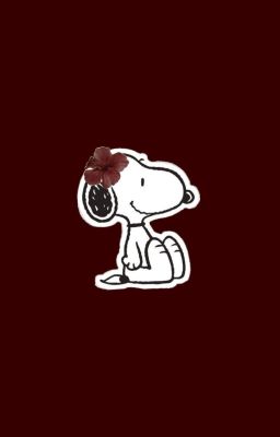 nuthong˚puppy