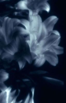 |NutHong| Red Emerald