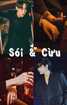 [NutTui] Sói & Cừu