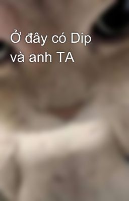 Ở đây có Dip và anh TA