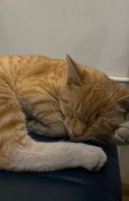 ở một thế giới khác