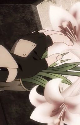 Obikaka/Trans | lifening