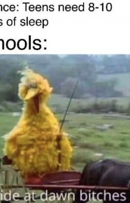 OC