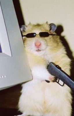 ohyuis | khùng hả cha?