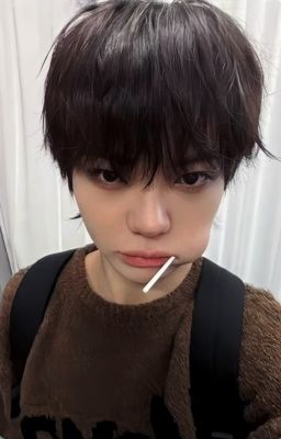 ohyul  x reader |cá hồi sốt cam|