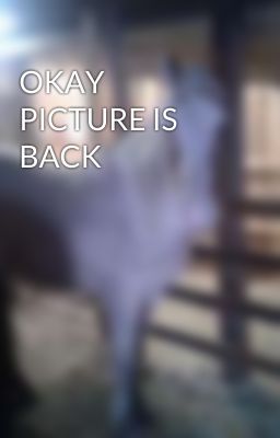 OKAY PICTURE IS BACK
