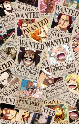 | ONE PIECE X READER | Mine ღ