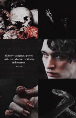 One-shot Tom Riddle x Reader