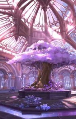 One Tree Valley