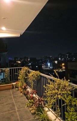 |Oneshot| Balcony