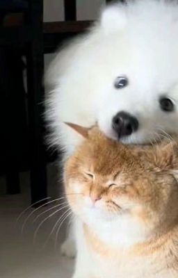 [ONESHOT](EUNO) Anh bé