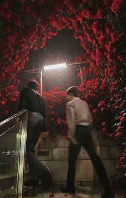 [ONESHOT] [HỦ NHĨ DU SINH] Hoa nở trong tay người