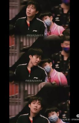 Oneshot nhỏ của Shatou 🍟