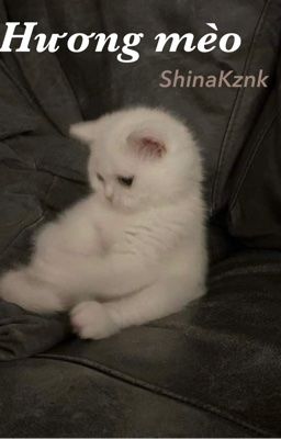 [Oneshot|ShinaKznk] Hương mèo