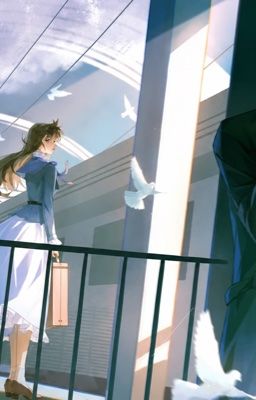 (Oneshot) (ShinRan) Như Sơ
