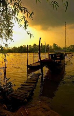 [Onran] CỐM