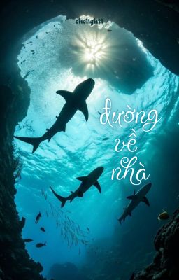[onran] đường về nhà