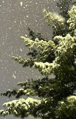 Onran | Lạnh rồi