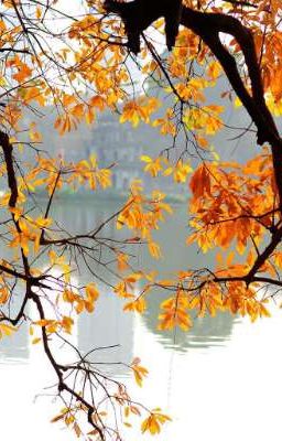 (OS) [Miyabichi No Onmyouji] Nếu Như...?