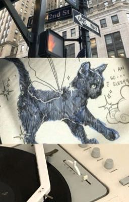 otislohan ‧₊˚ ┊bé em