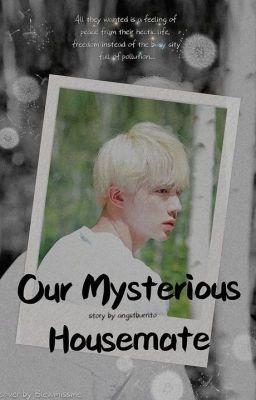 Our Mysterious Housemate