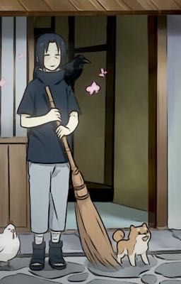Our War [Itachi x Reader] [Transfic]