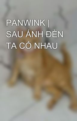 PANWINK | SAU ÁNH ĐÈN TA CÓ NHAU
