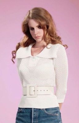 PEARAN 。𖦹 ° Echoes Across the Night Sky