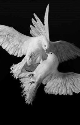 pearuhends - blackmail.