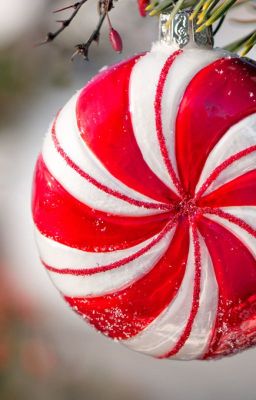 Peppermint Winter