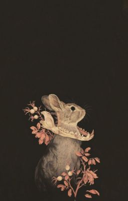 PERAN | Ngây Thơ (?)