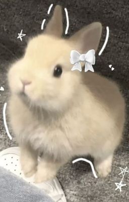 [perlight] taquinerie.